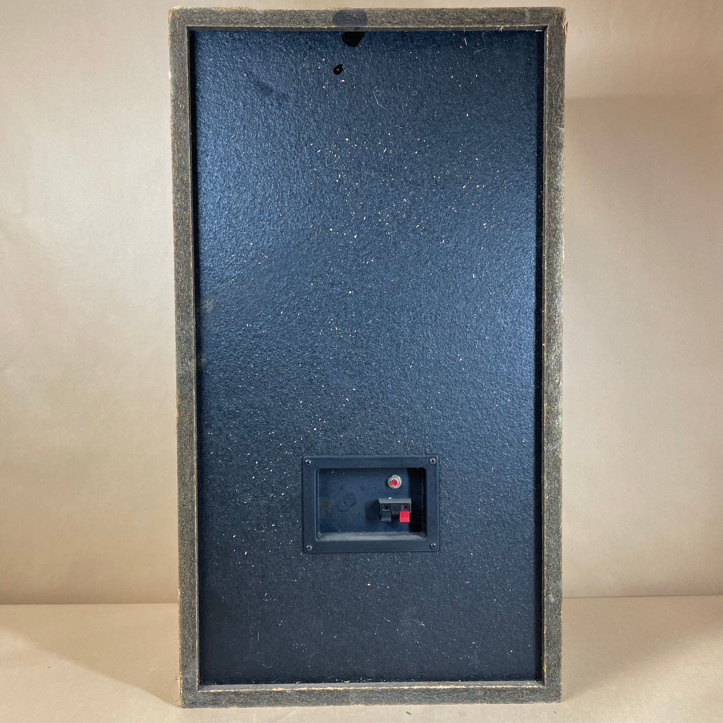 Acoustic Monitor DB IV Liquid Cooled Vintage Floor Standing Speaker Wood